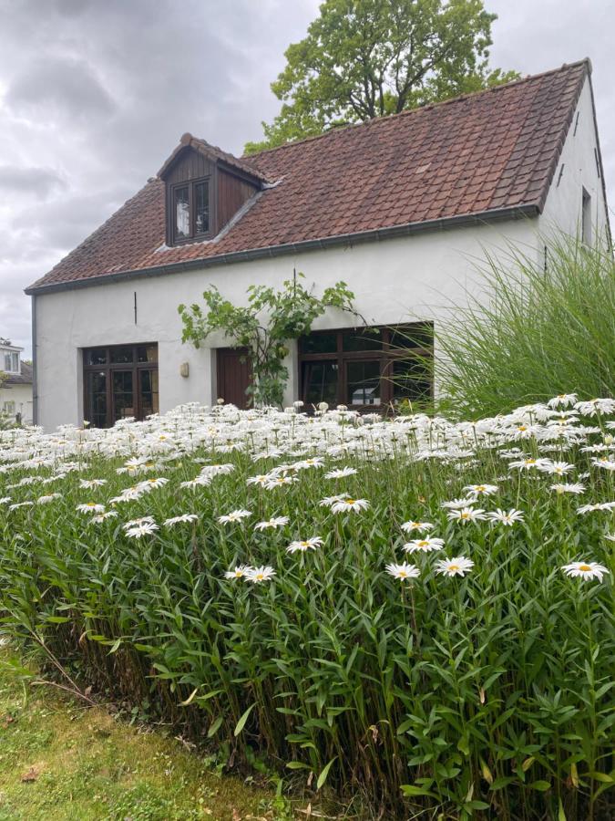 Perlefien Villa Zottegem Екстериор снимка