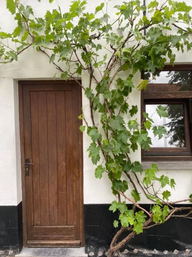 Perlefien Villa Zottegem Екстериор снимка